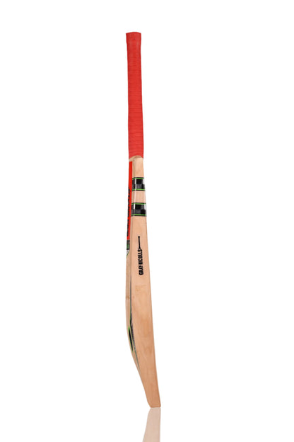 Gray Nicolls Leather Bat