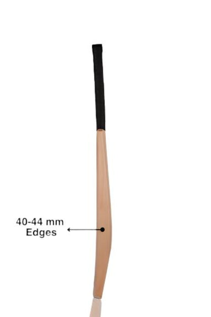 Custom Grade 1 Kashmir Willow Bat: Leather Bat