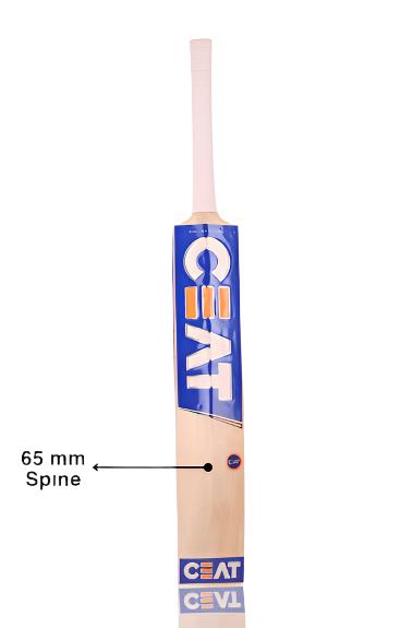 Ceat Leather Bat