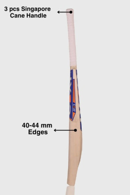 Ceat Leather Bat