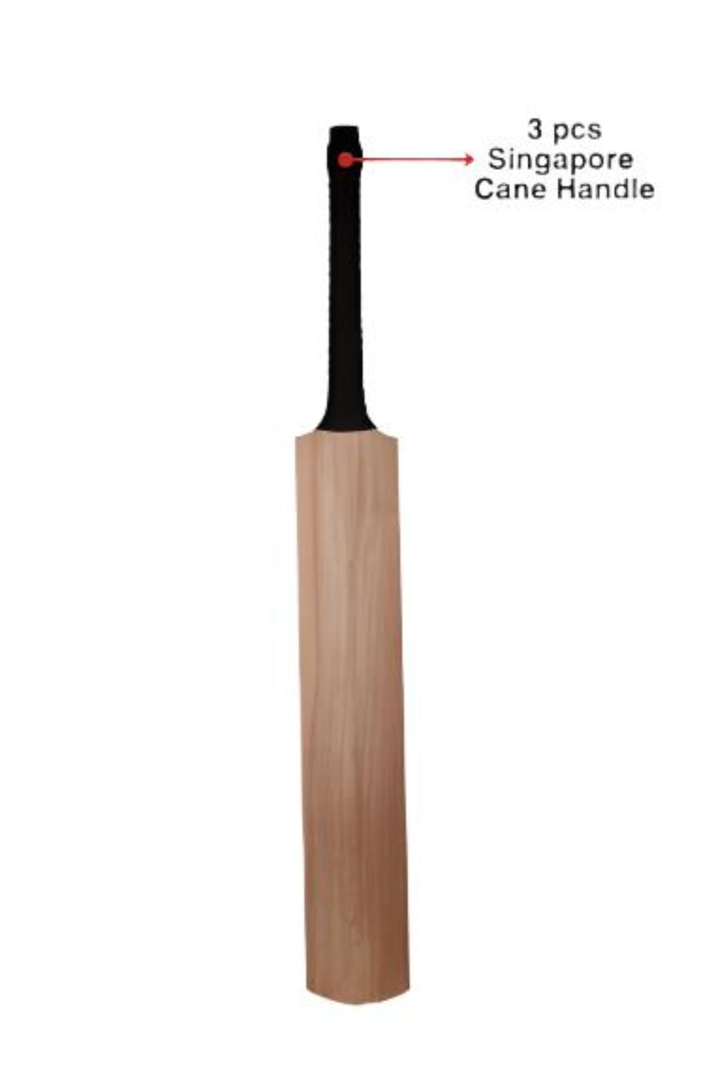 Custom Grade 1 Kashmir Willow Bat: Leather Bat