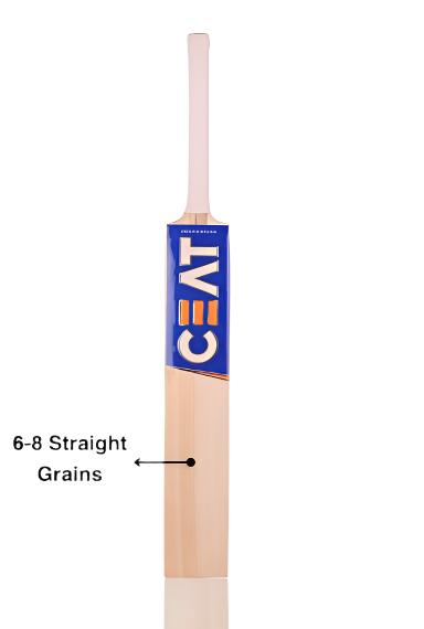 Ceat Leather Bat